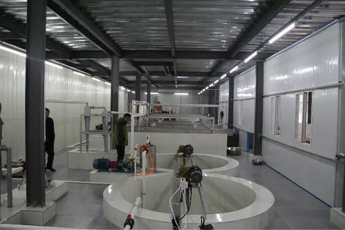 投資200多萬，竹溪首家藕粉加工廠帶動脫貧致富