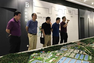 開平市科工商務局 資本投資咨詢服務的專業引領者